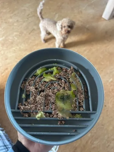 Staey Slowfeeder foderskål til hund Stone silikone