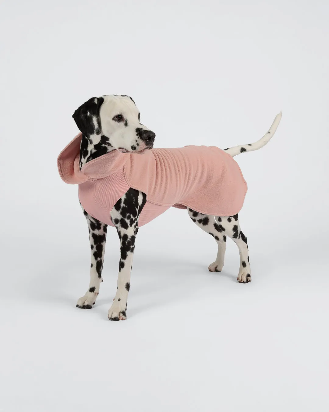 Paikka Seawool Shirt Pale Pink hundetrøje varm
