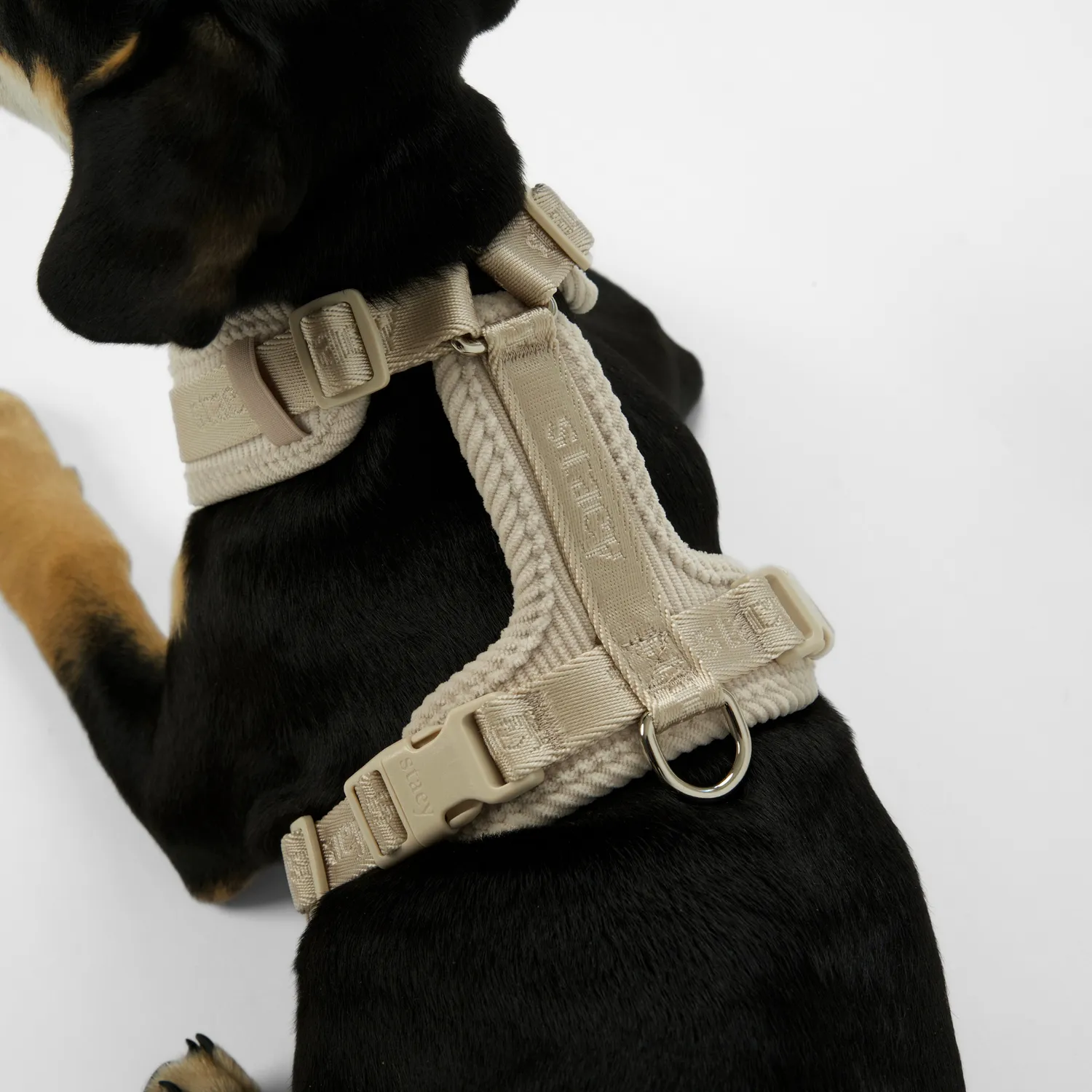 Staey Numa hundesele Oat letvægt