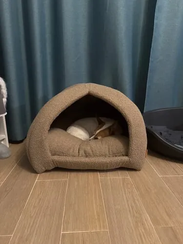 Staey Hundehule Dog Cave Oat Bouclé Hule 62x62 cm