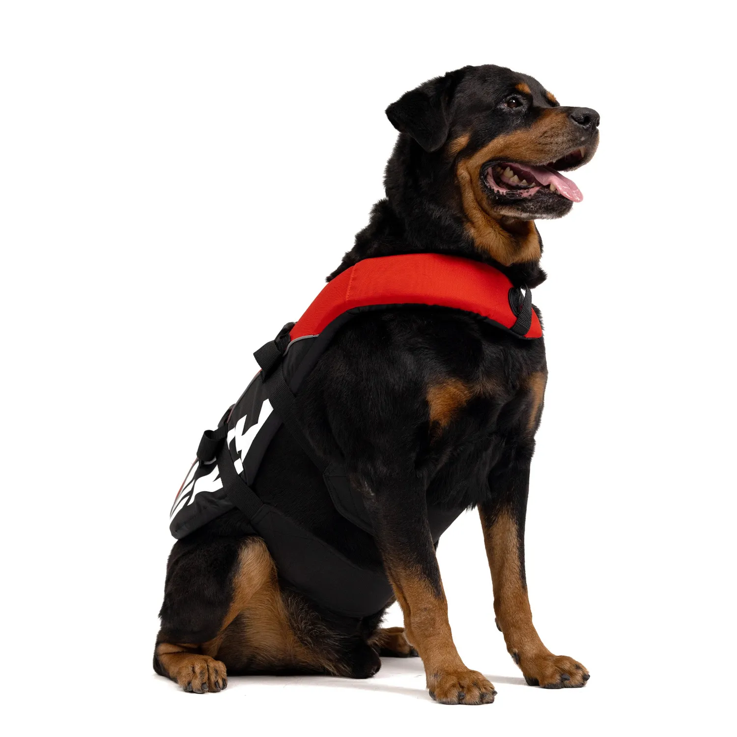 EzyDog DFD Standard svømmevest til hund rød M