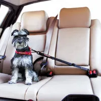 EzyDog Click sikkerhedssele til hund justerbar