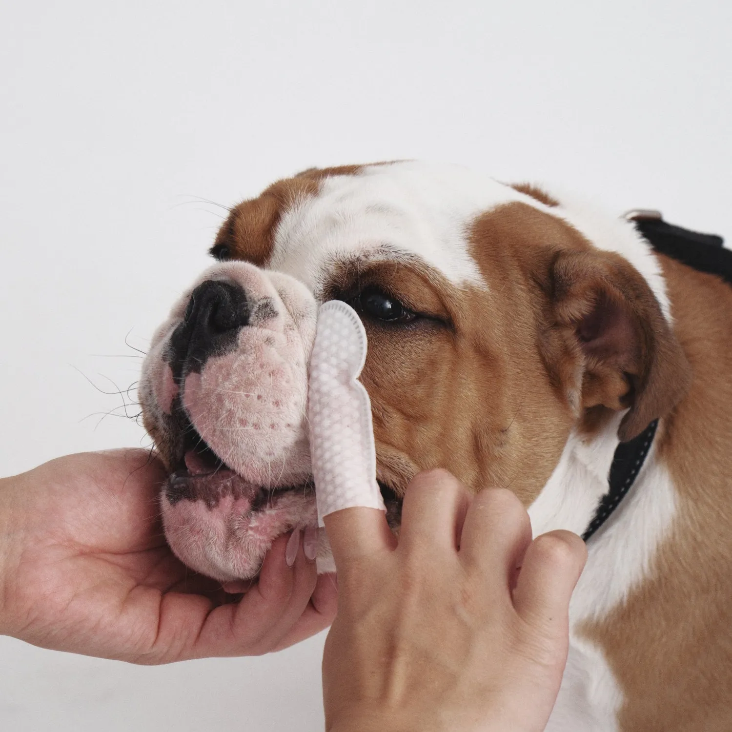 Goo-eez Premium Eye øjenservietter til hund 60 stk mild