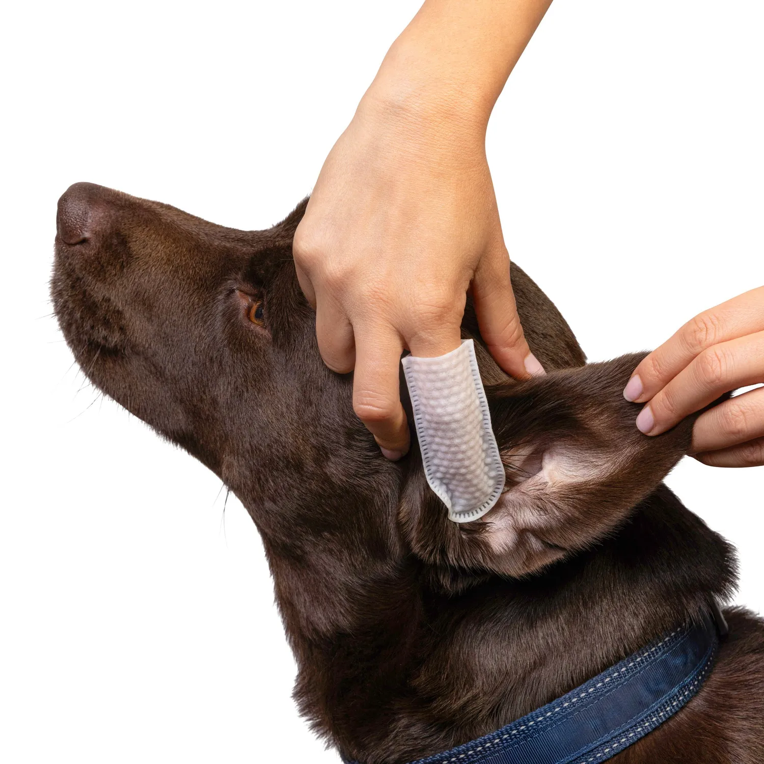 Goo-eez Premium Ear øreservietter til hund 60 stk mild
