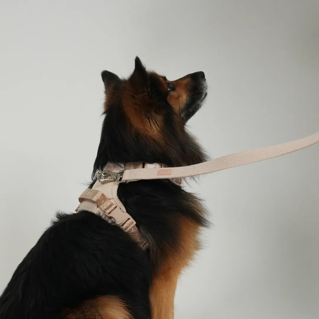 Staey Elma hundesnor Light Rose medium 152 cm