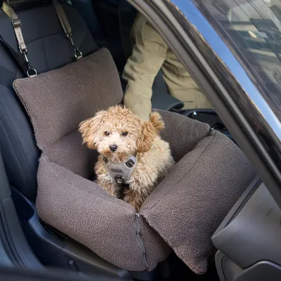 Staey Clara 3-in-1 bilsæde til hund Limited Edition brun