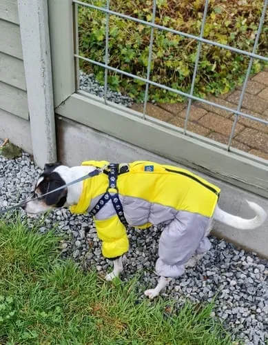 Barkii Training Treats træningsgodbidder kylling 100 g kornfri
