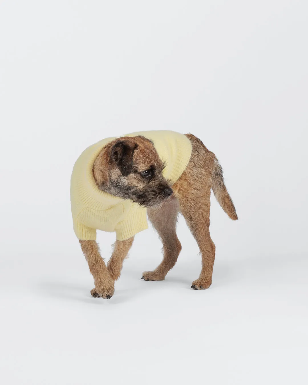 Paikka Furry Knit hundesweater pale banana blød