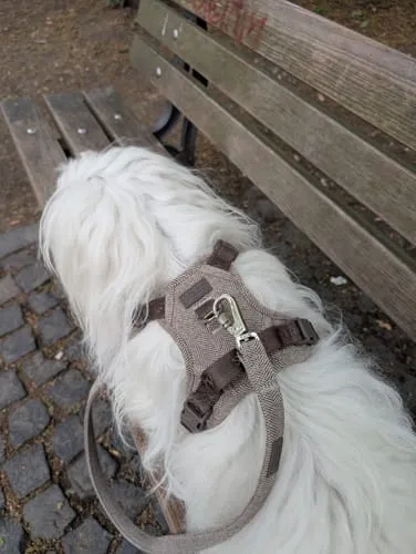 Staey Elma Active hundesnor taupe 152 cm