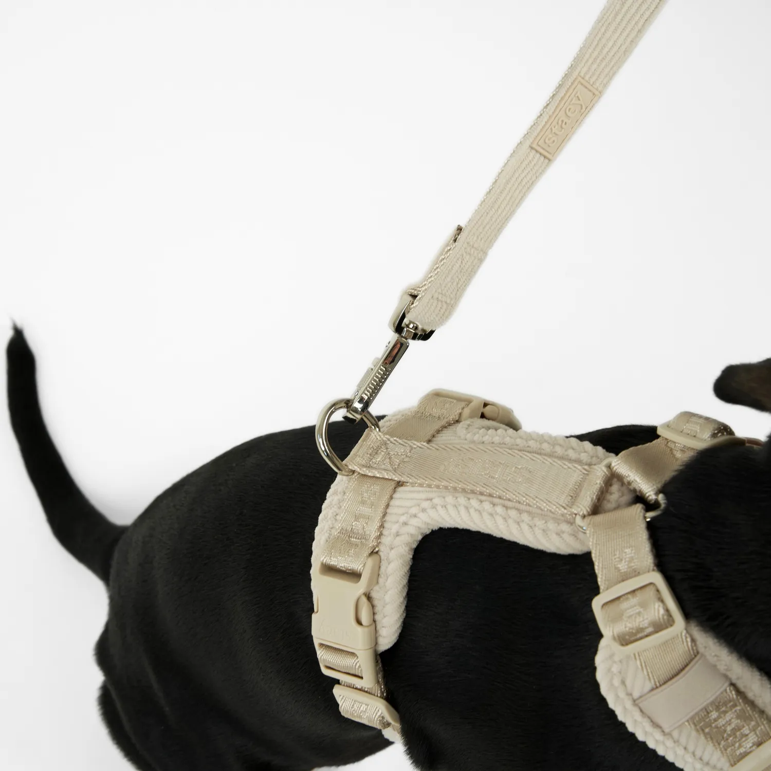 Staey Numa hundesele Oat letvægt