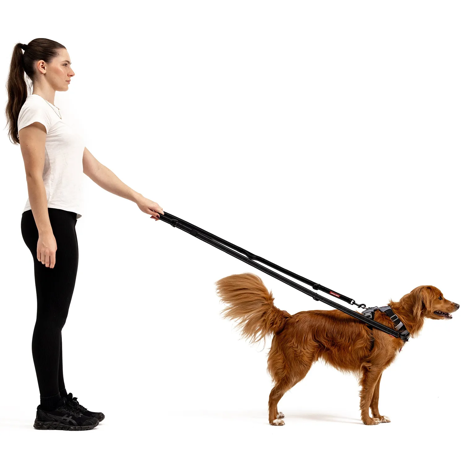 EzyDog Vario 6 hundeline 225 cm multifunktion
