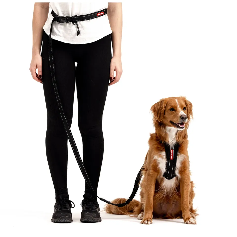 EzyDog Road Runner løbeline sort 210 cm