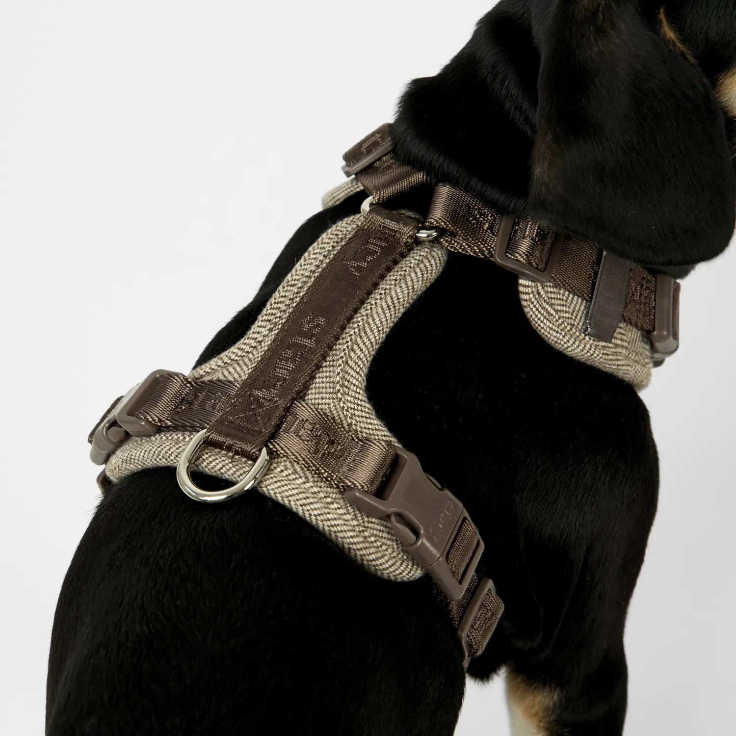 Staey Numa hundesele Mocca let Y-sele