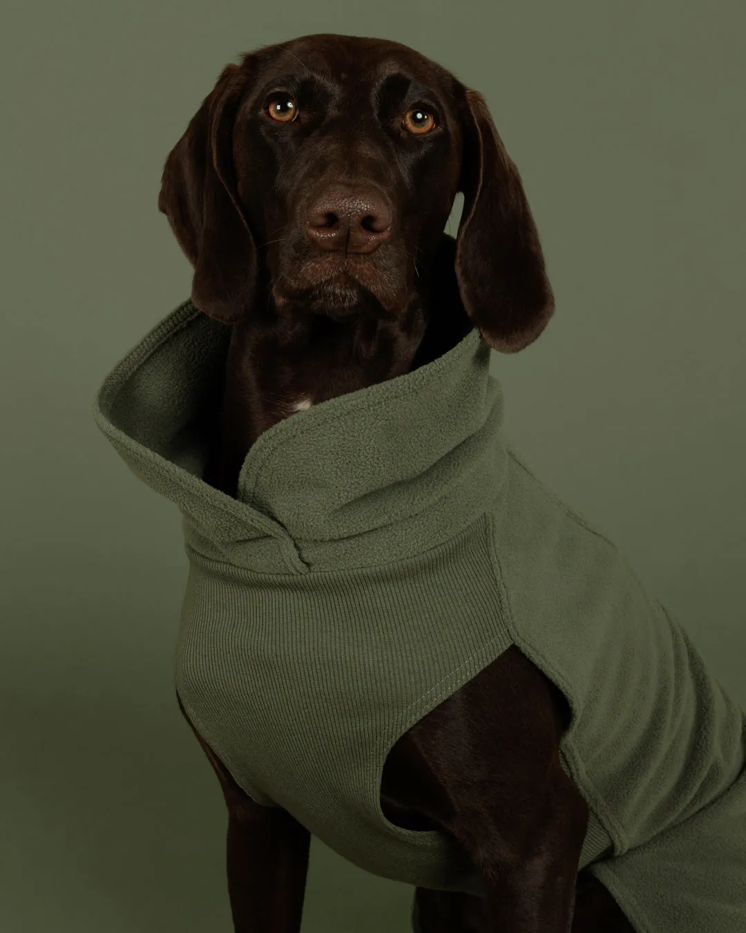 Paikka Seawool hundetrøje timian varmende
