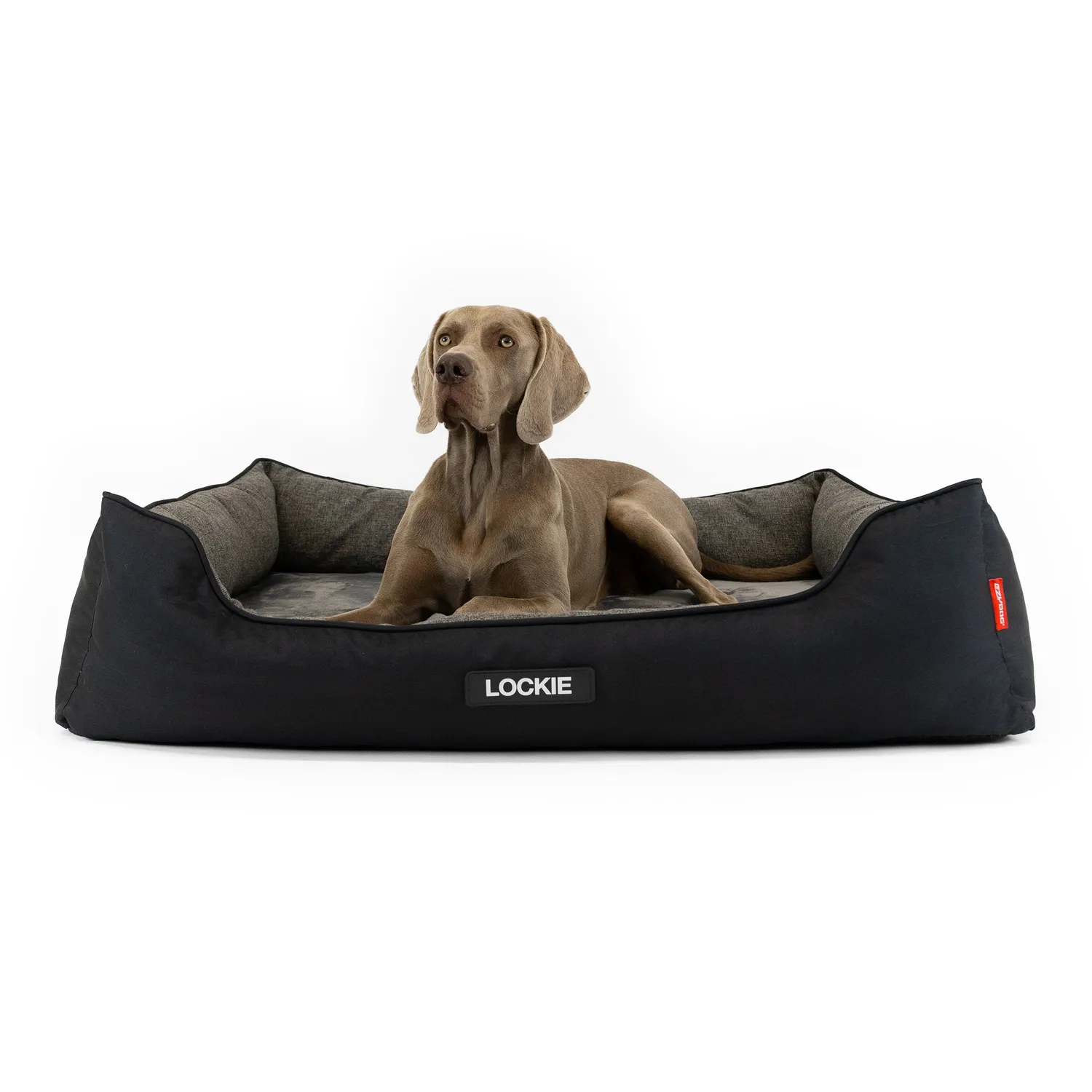 EzyDog 2 in 1 Ortho Smart hundeseng memory foam kølende