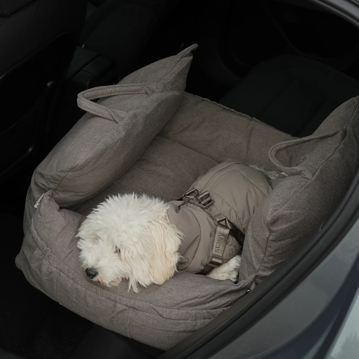 Staey Lara bilsæde til hund Taupe 2.0 op til 18 kg