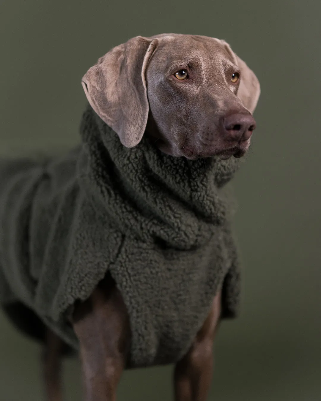 Paikka Sherpa Shirt hundetrøje oliven Seawool varm