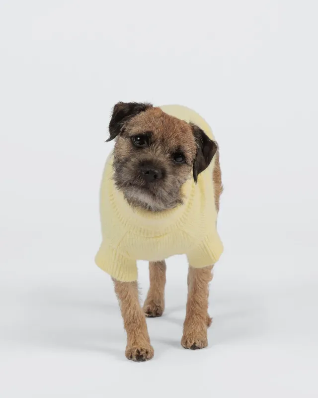 Paikka Furry Knit hundesweater pale banana blød
