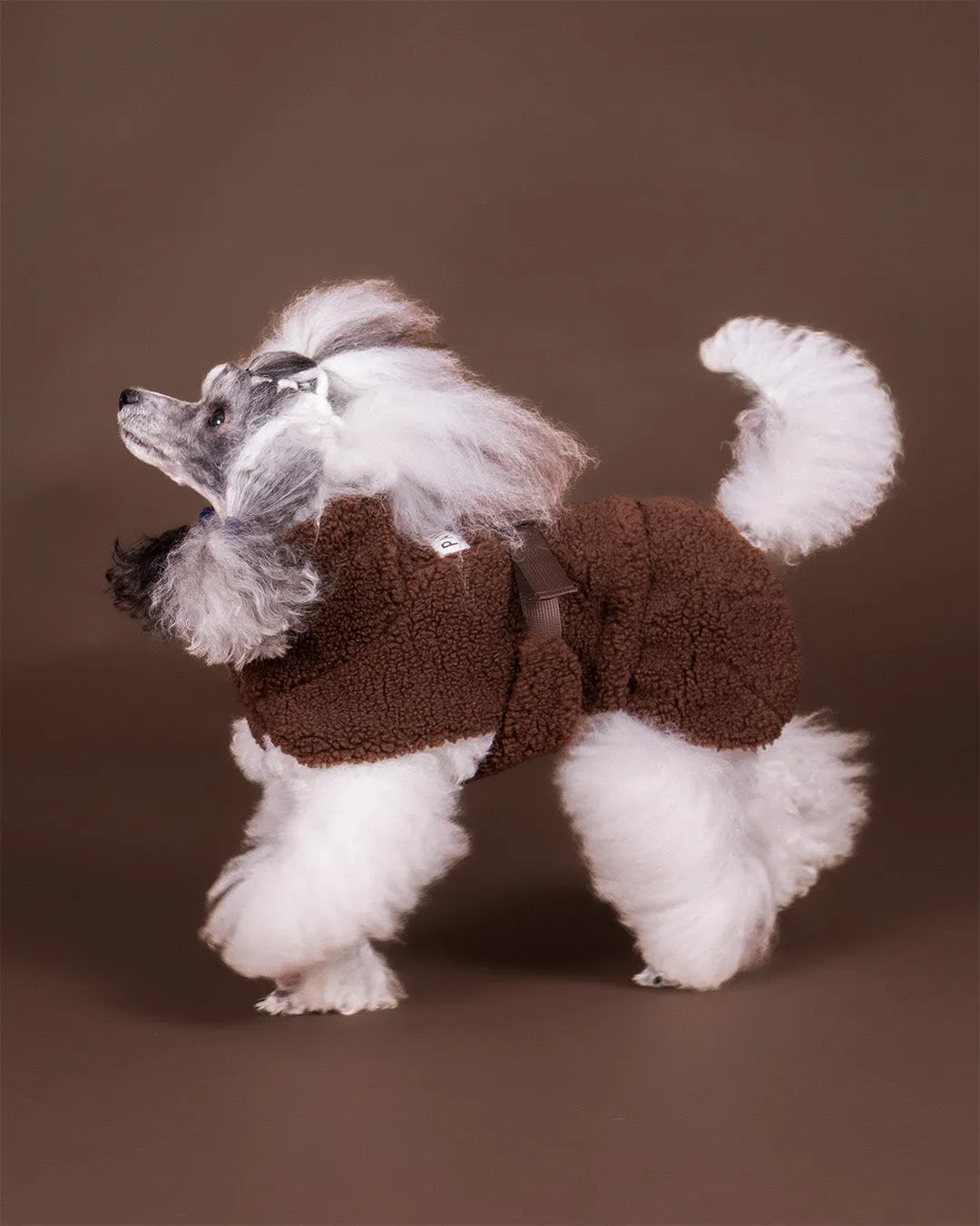 Paikka Sherpa Shirt Choco hundetrøje brun Seawool