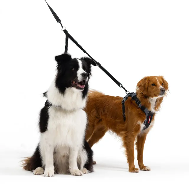 EzyDog Zero Shock Coupler kobbel sort 61cm stødabsorberende