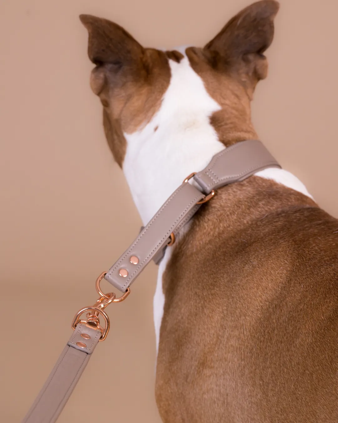 Paikka Lignify hundesnor Taupe 180 cm slidstærk