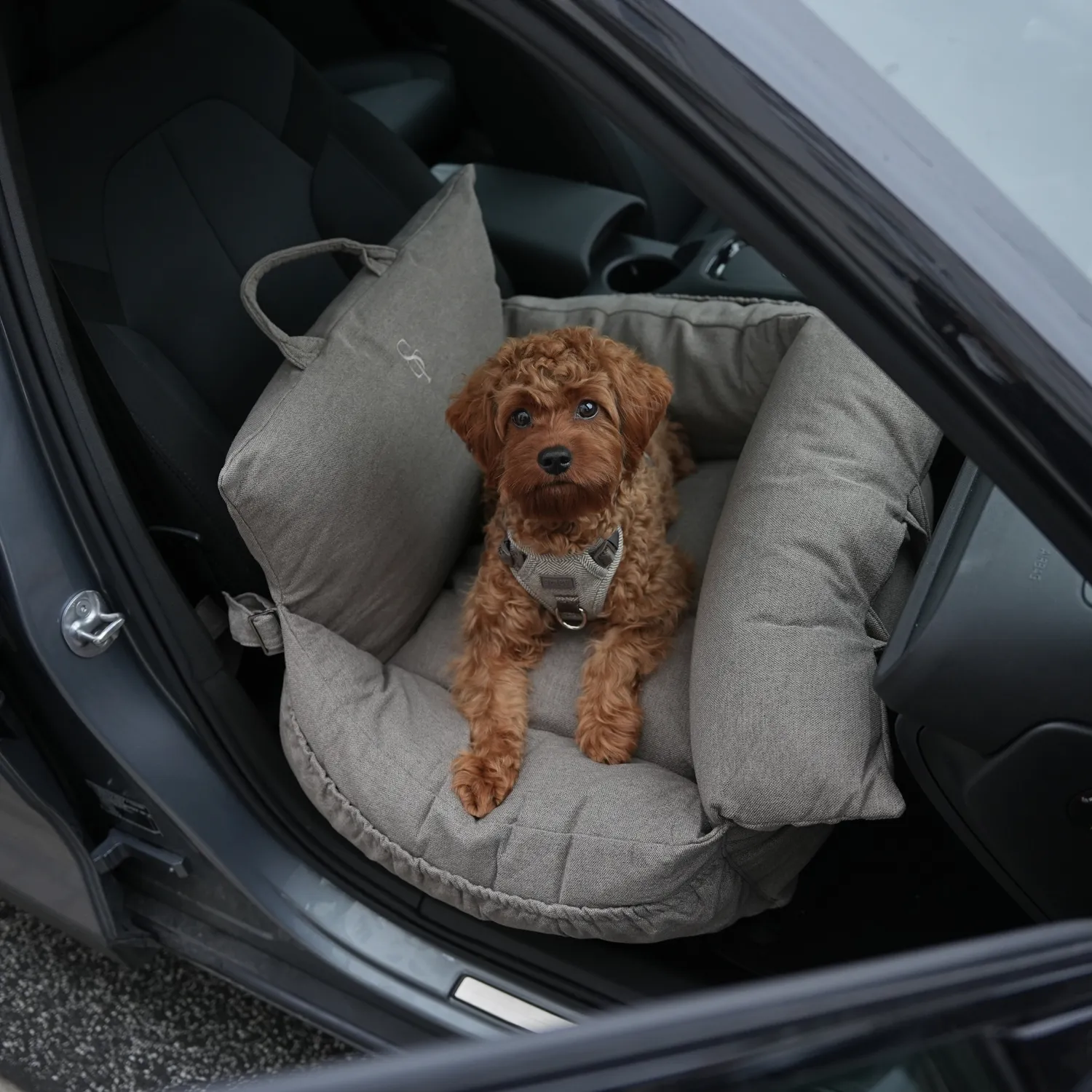 Staey Lara bilsæde til hund Taupe 2.0 op til 18 kg