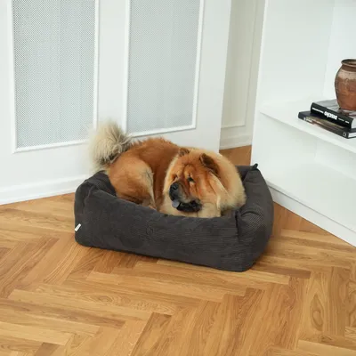 Staey Vera hundeseng Dark Oak Corduroy 75x65