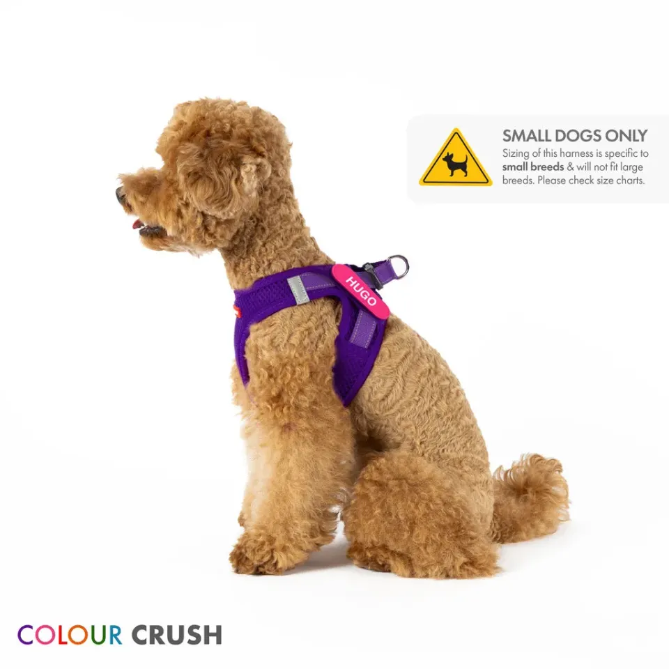 EzyDog FORMFIT Mesh hundesele 3D Air Mesh