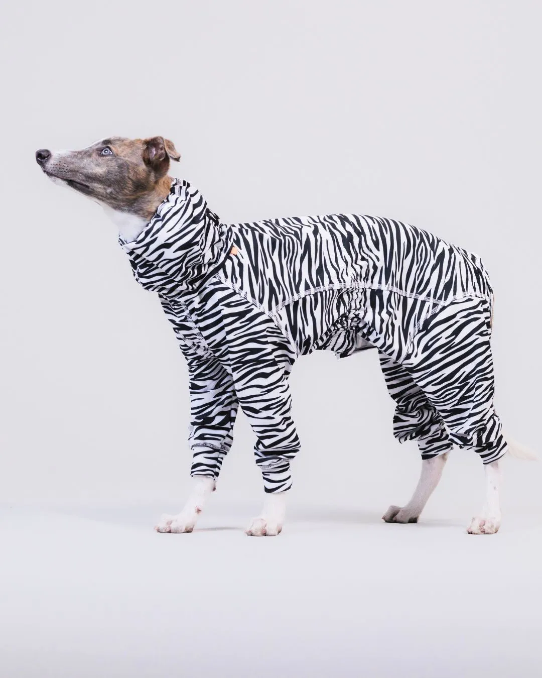 Paikka UV Bug Overall hundedragt zebra UV-beskyttende