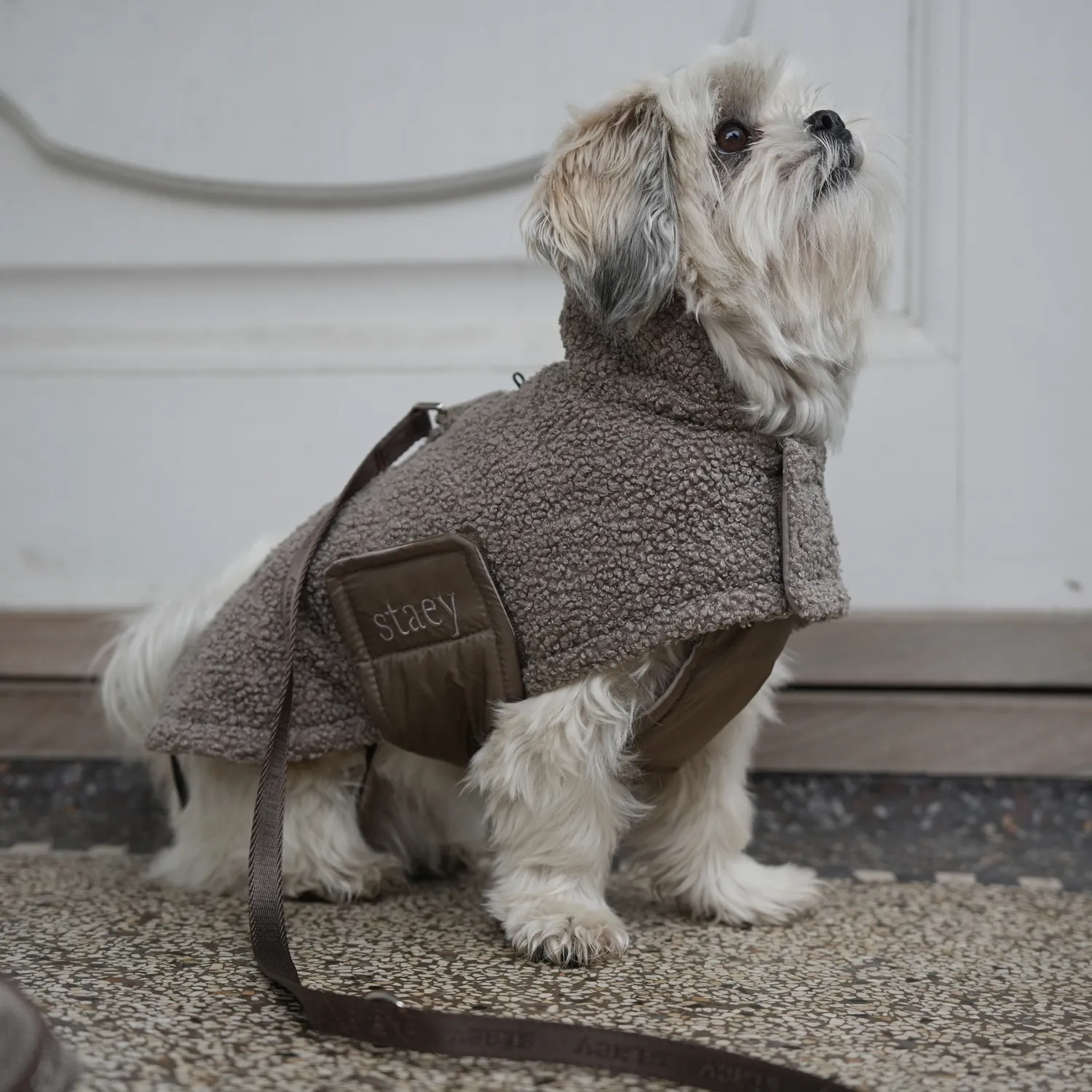 Staey Teddy hundefrakke Taupe overgangsjakke blød teddy