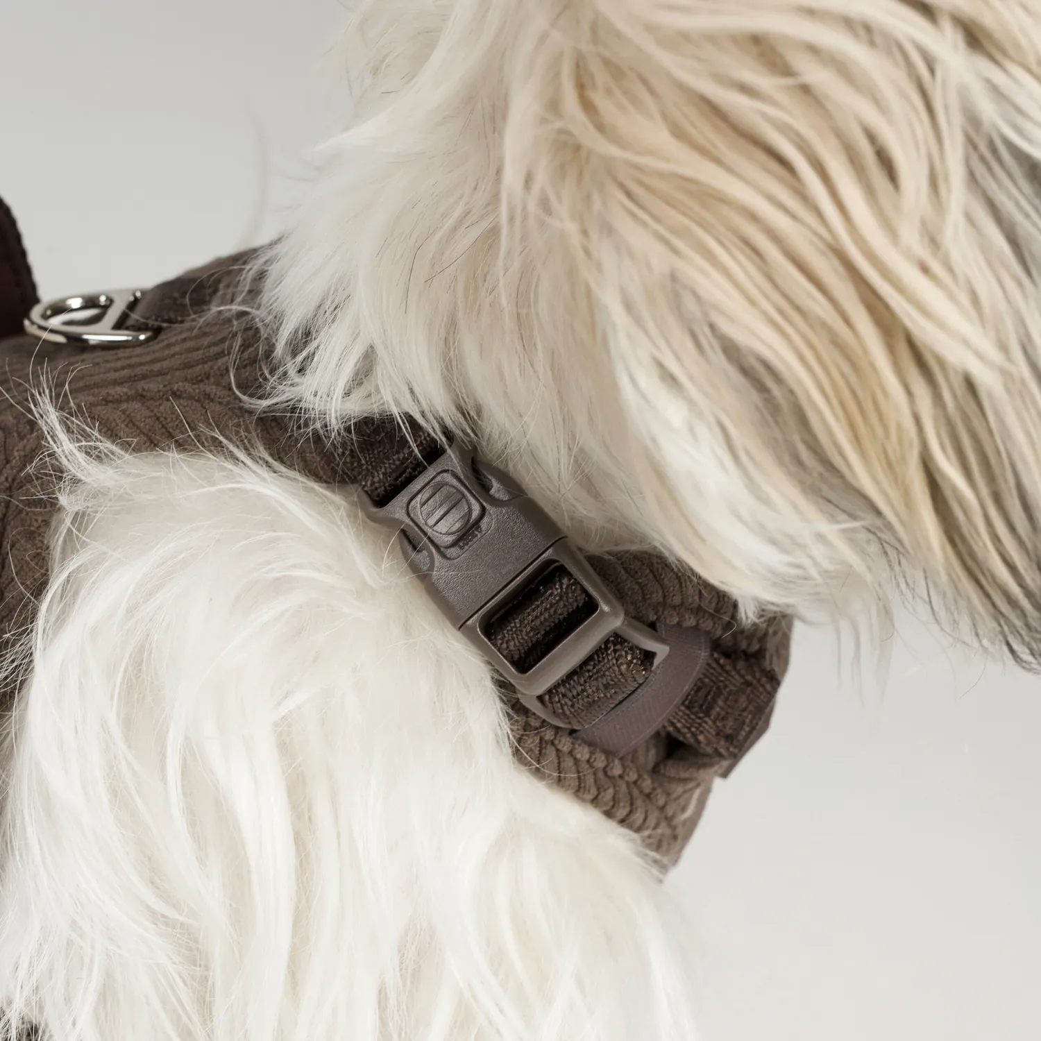 Staey Elma hundesele Dark Oak justerbar