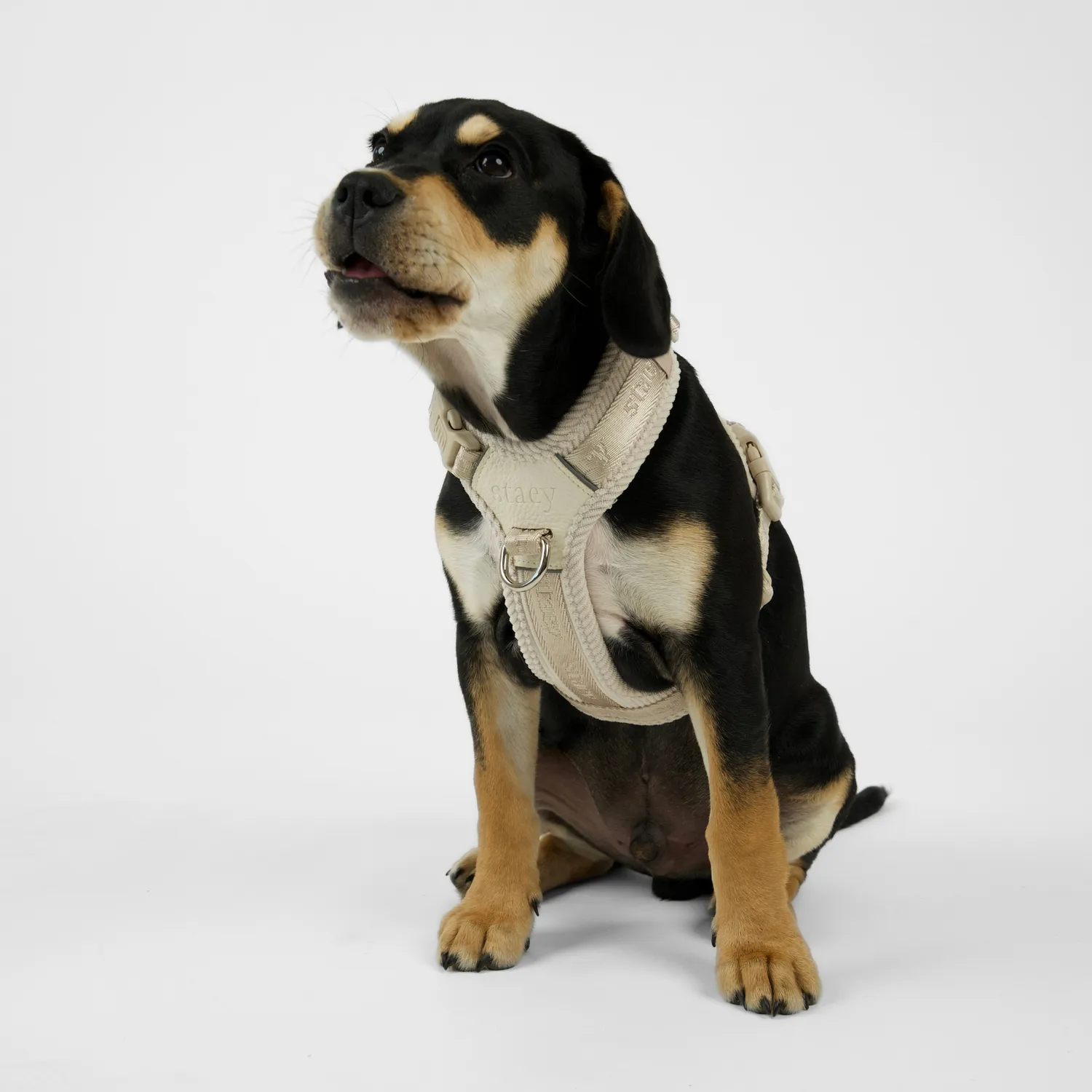 Staey Numa hundesele Oat letvægt