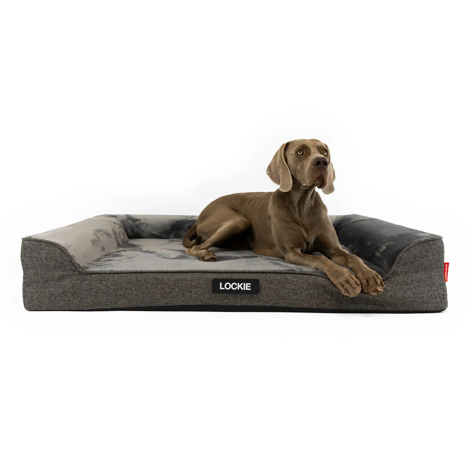 EzyDog Next Gen Ortho Lounger hundeseng charcoal M memory