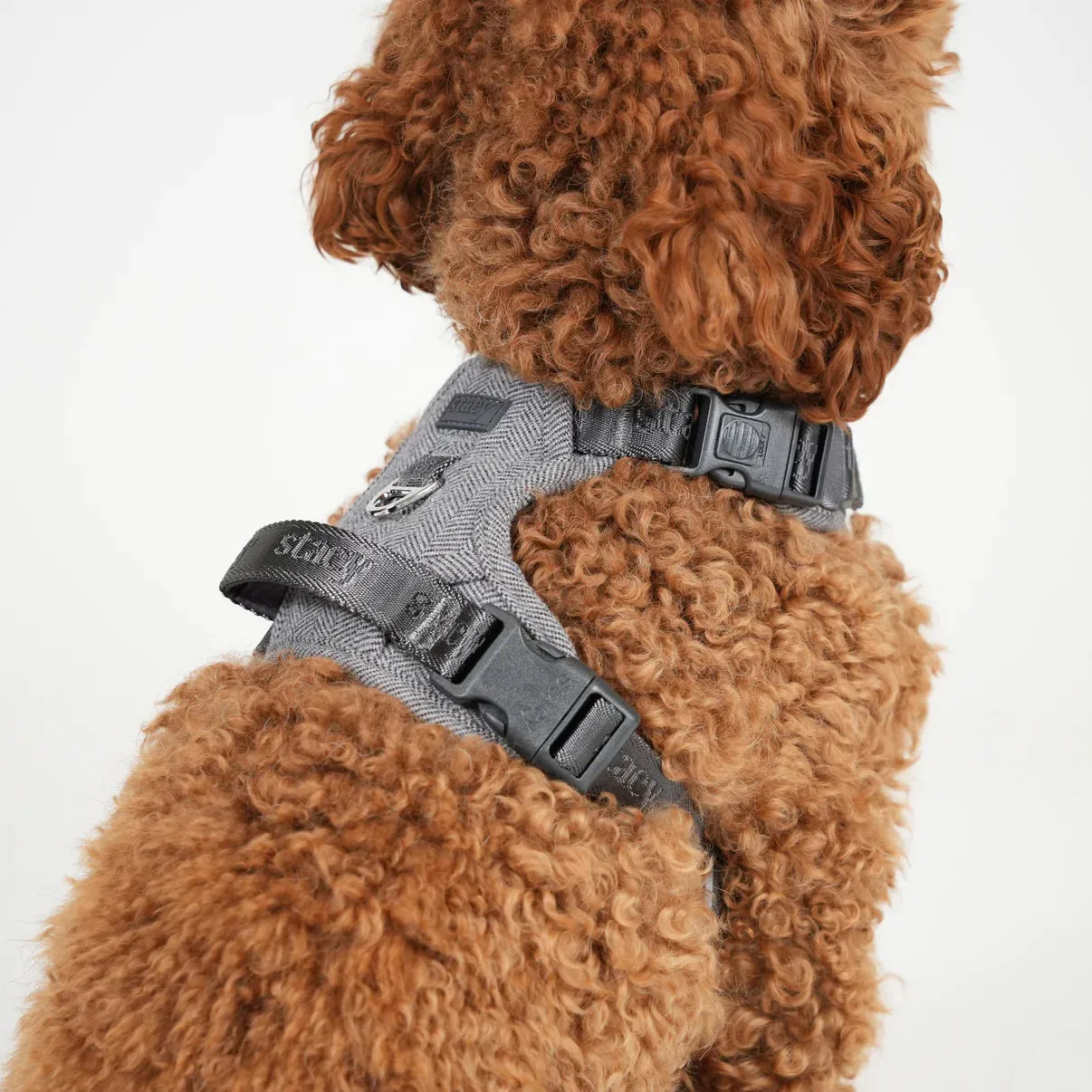 Staey Elma hundesele Dusty Blue polstret Y-sele