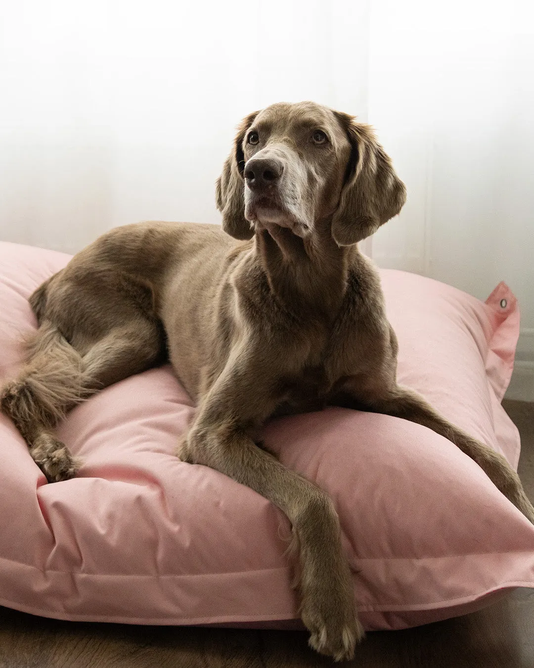 Paikka Lazy Bed hundeseng pink blød