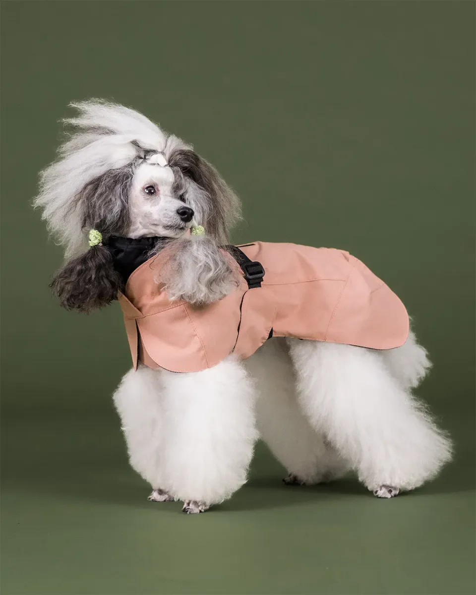 Paikka Visibility regnjakke til hund Rose reflekterende