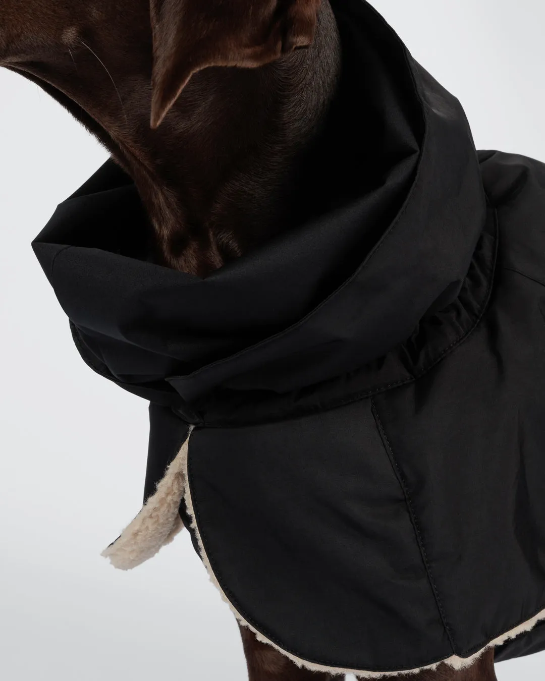 Paikka Kuura vinterjakke sort varm til hunden