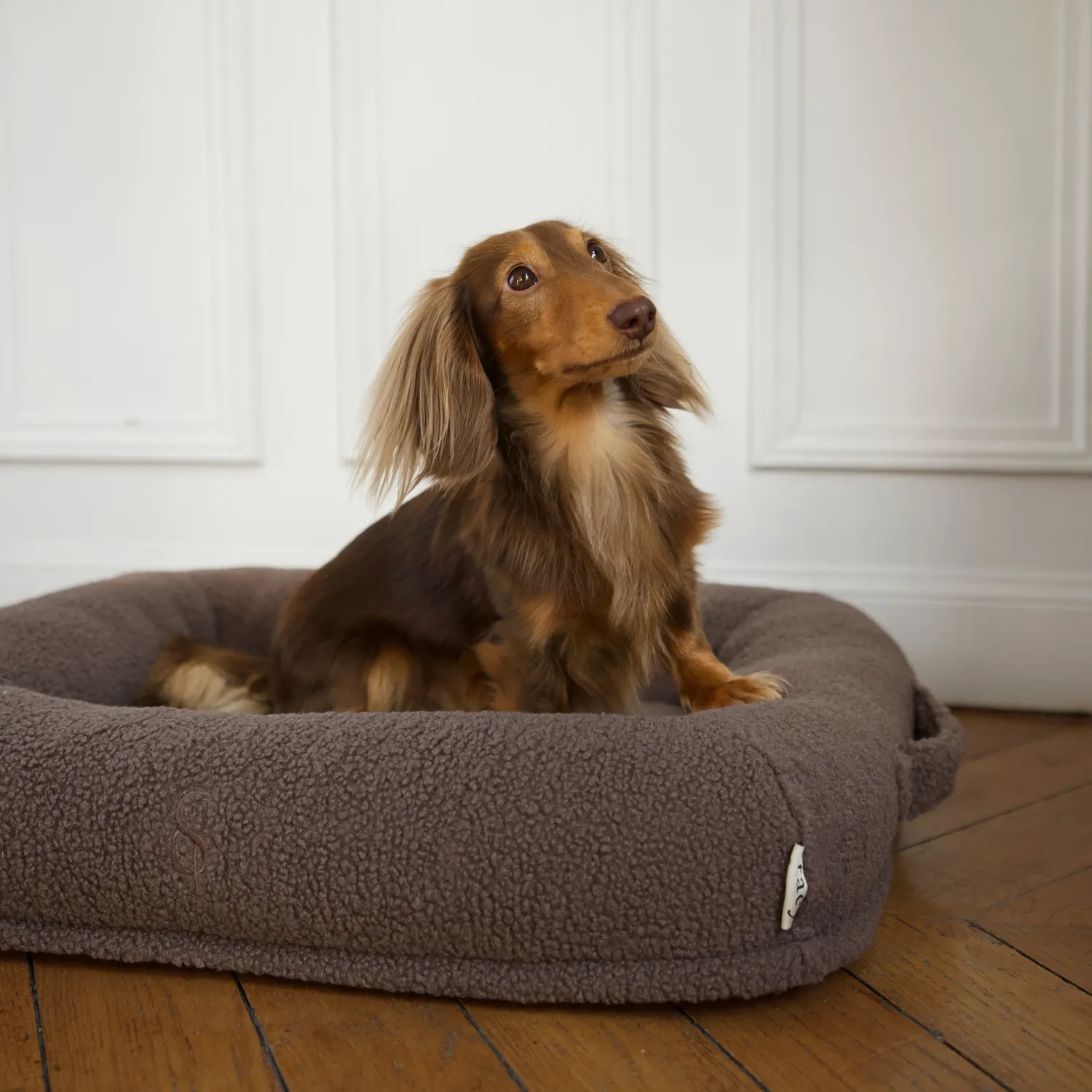Staey Clara ortopædisk hundeseng memoryskum teddy