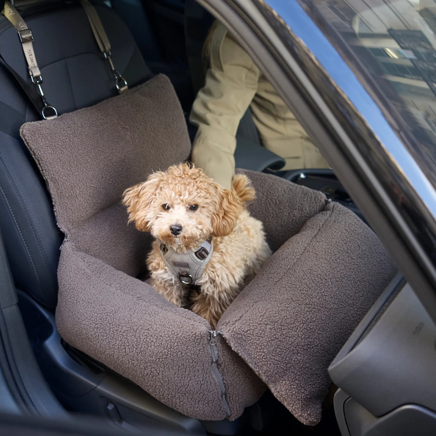 Staey Clara bilsæde til hund Limited Edition Teddy