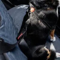 EzyDog Auto sikkerhedsline til bil hund