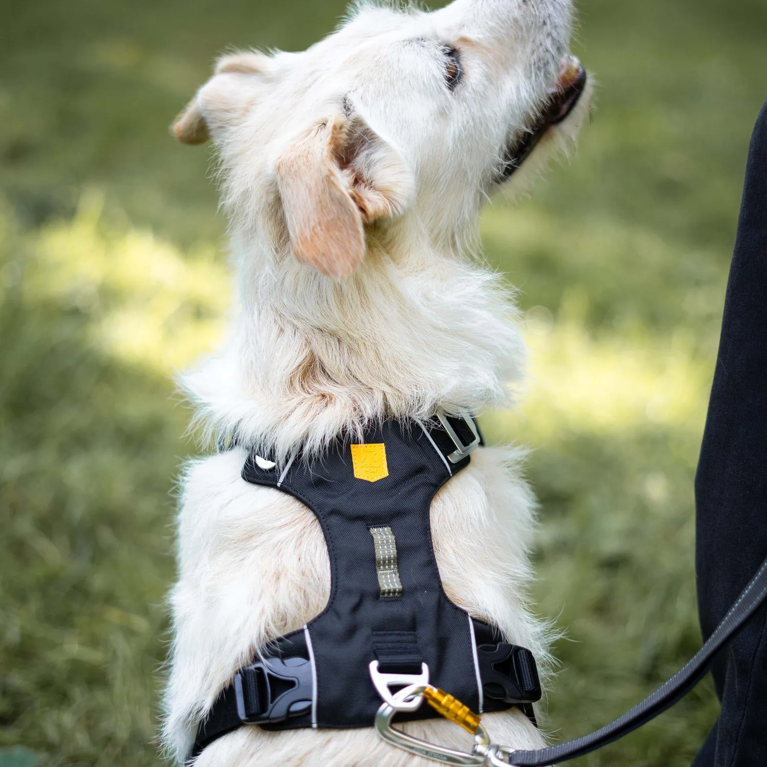 Woolly Wolf Alpha 360 hundesele sort genbrug