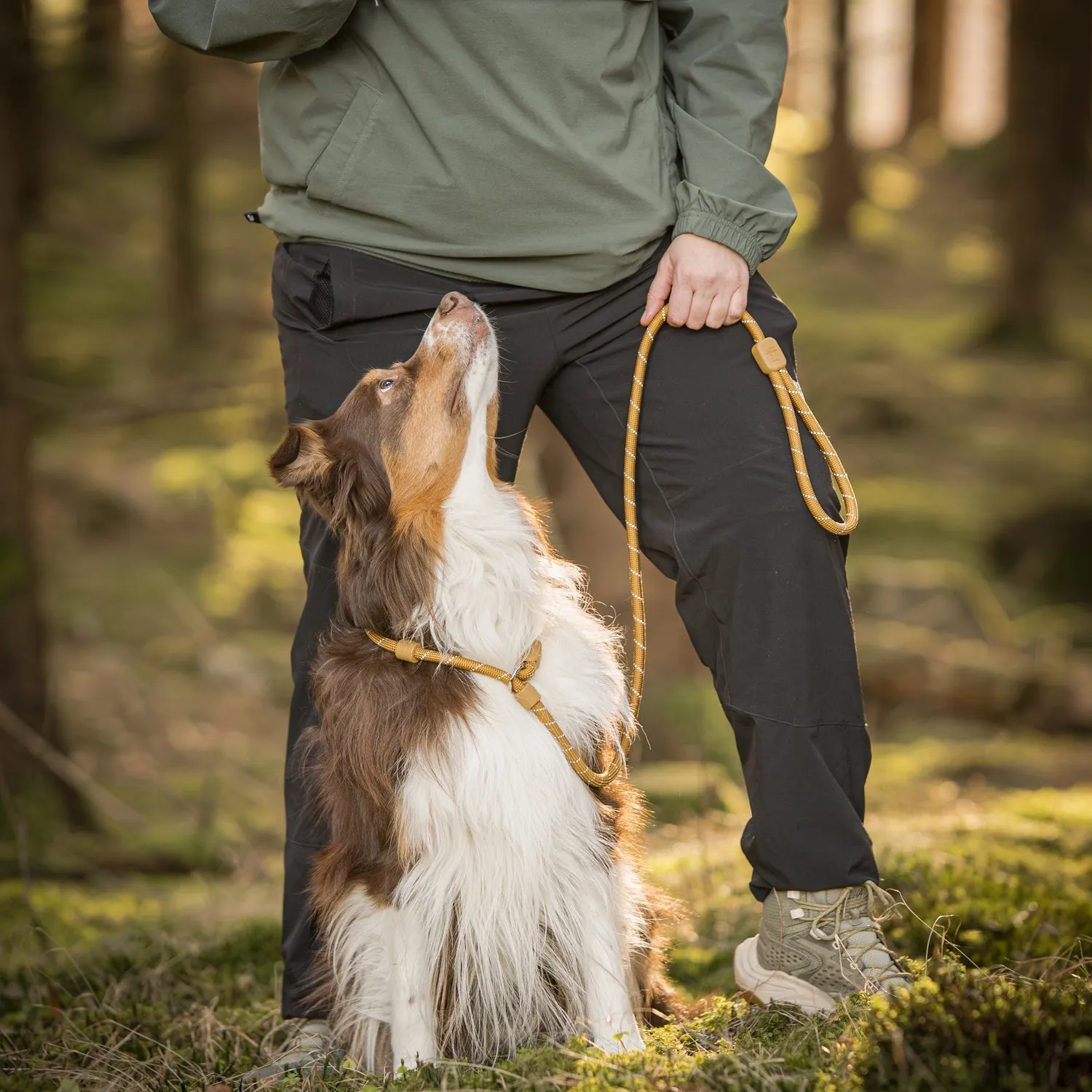 Woolly Wolf Retrieverline hundesnor 160 cm træbrun refleks