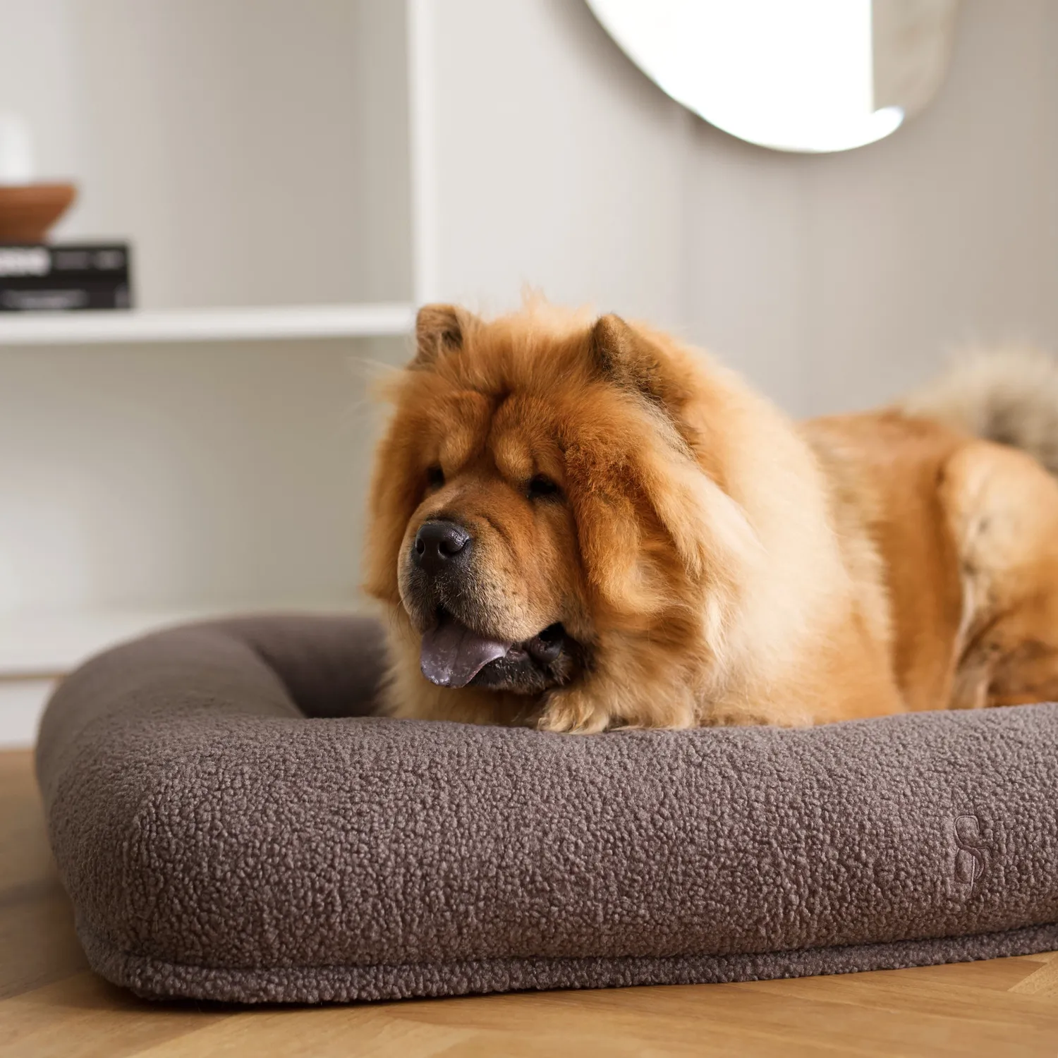 Staey Clara ortopædisk hundeseng memoryskum teddy