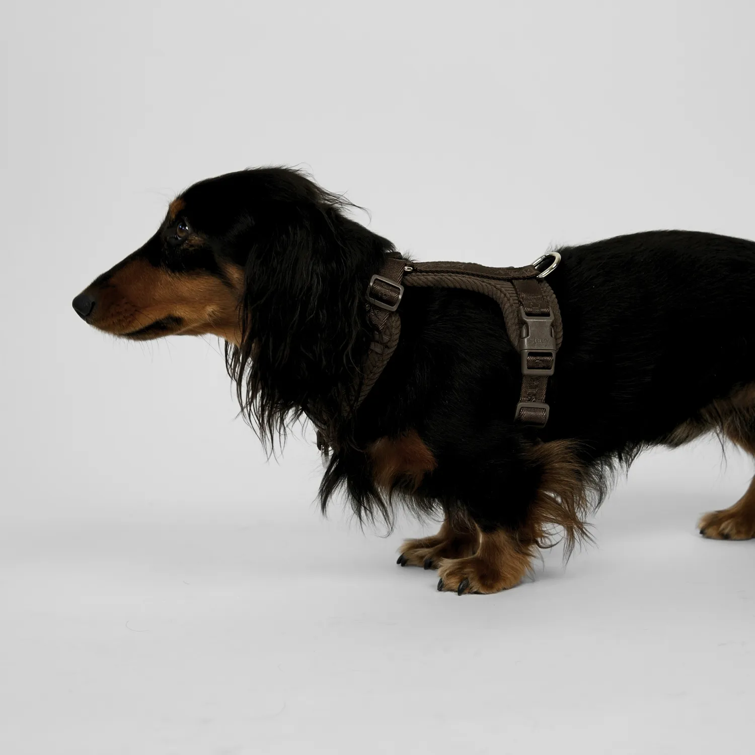 Staey Numa hundesele Dark Oak letvægt