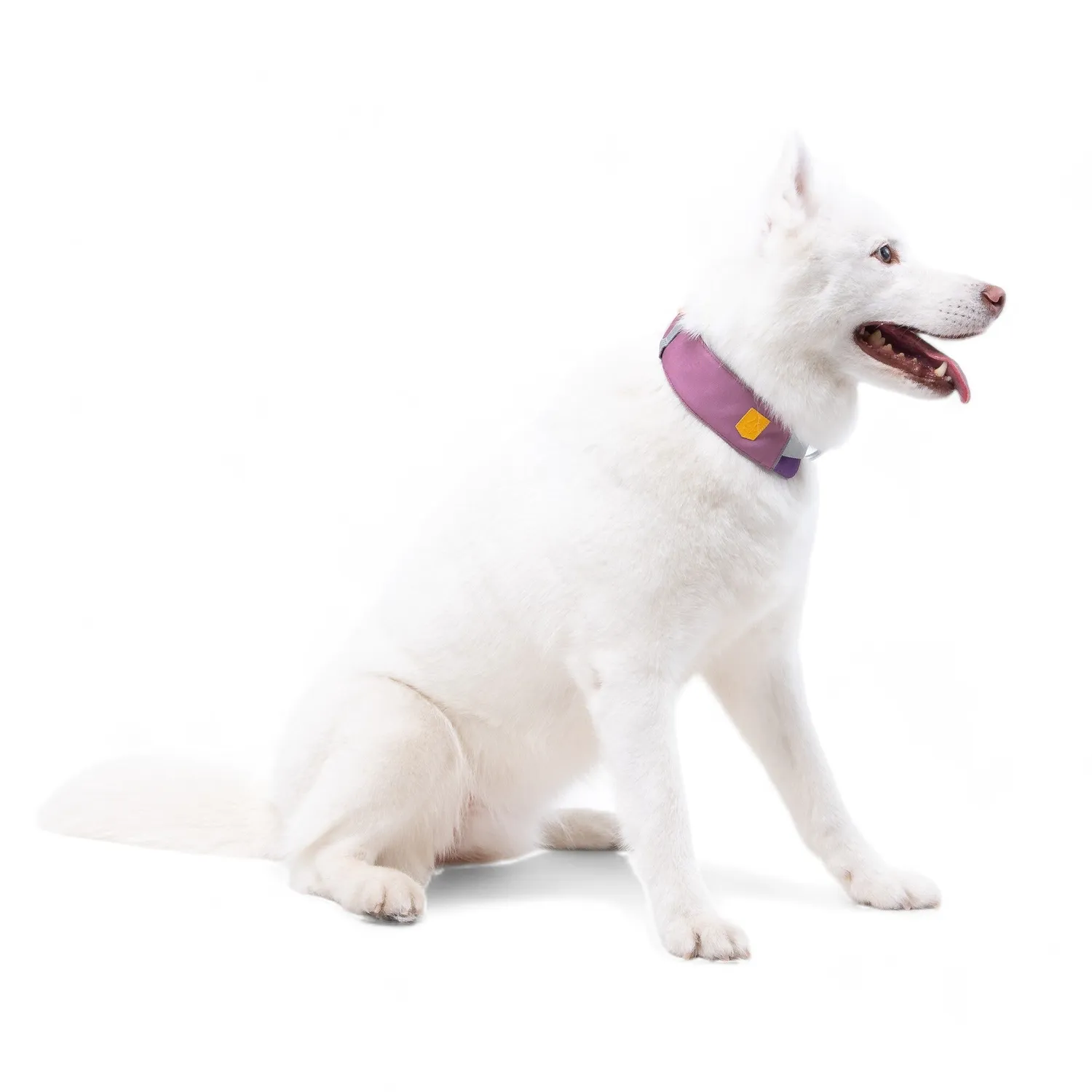 Woolly Wolf Alpha 360 hundehalsbånd mauve mix letvægt