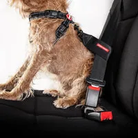 EzyDog Auto sikkerhedsline til bil hund
