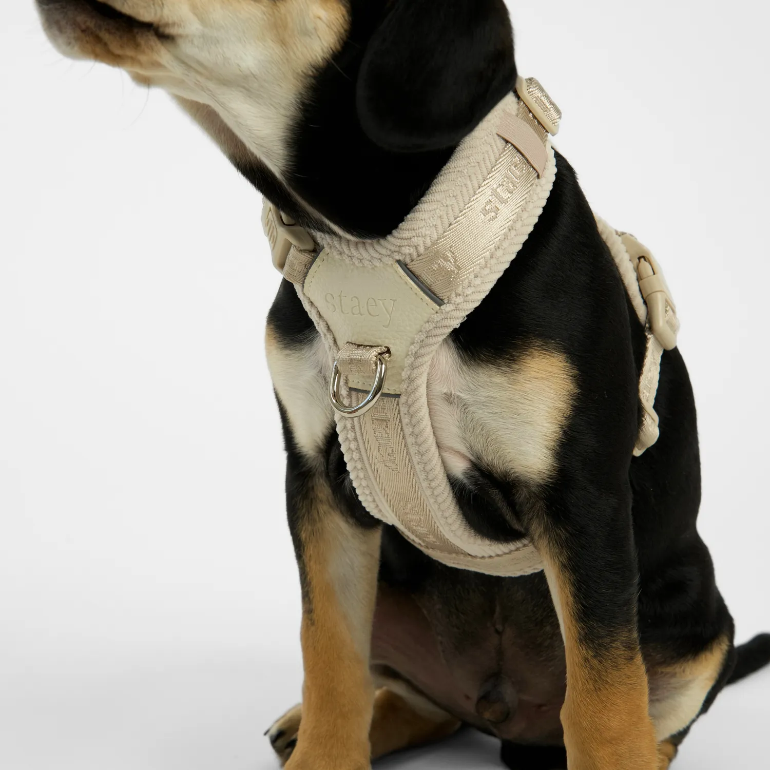 Staey Numa hundesele Oat letvægt