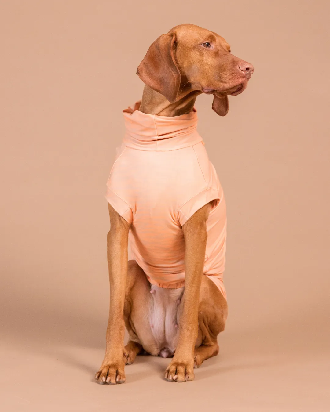 Paikka UV Bug hundetrøje peach UPF 50+