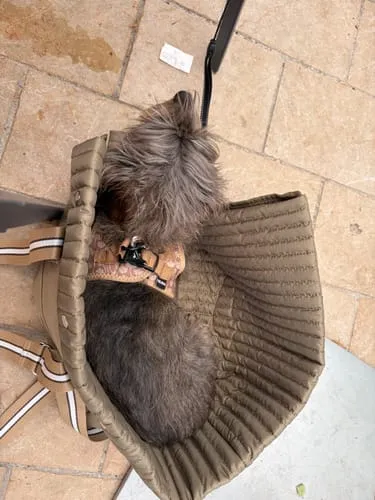 Staey Lily hundebæretaske Taupe 7 kg