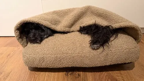 Staey Lana hundepude med hule oat bouclé